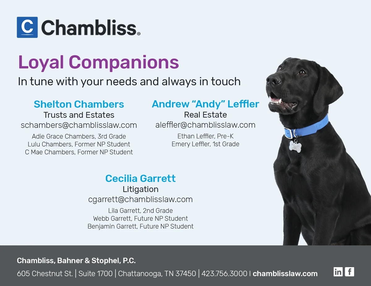 Chambliss, Bahner & Stophel, P.C. sponsor artwork
